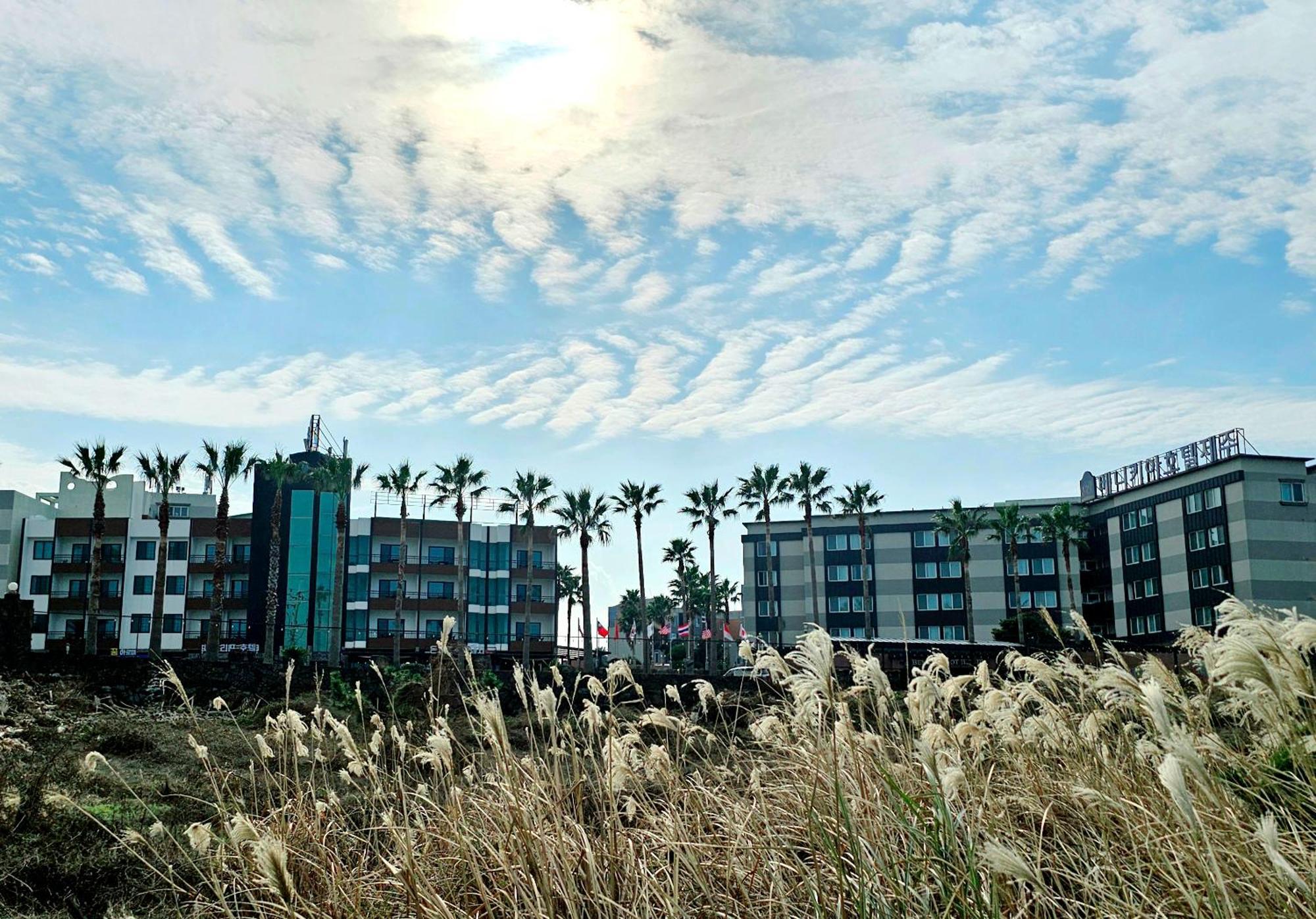 Benikea Hotel Jeju Bagian luar foto