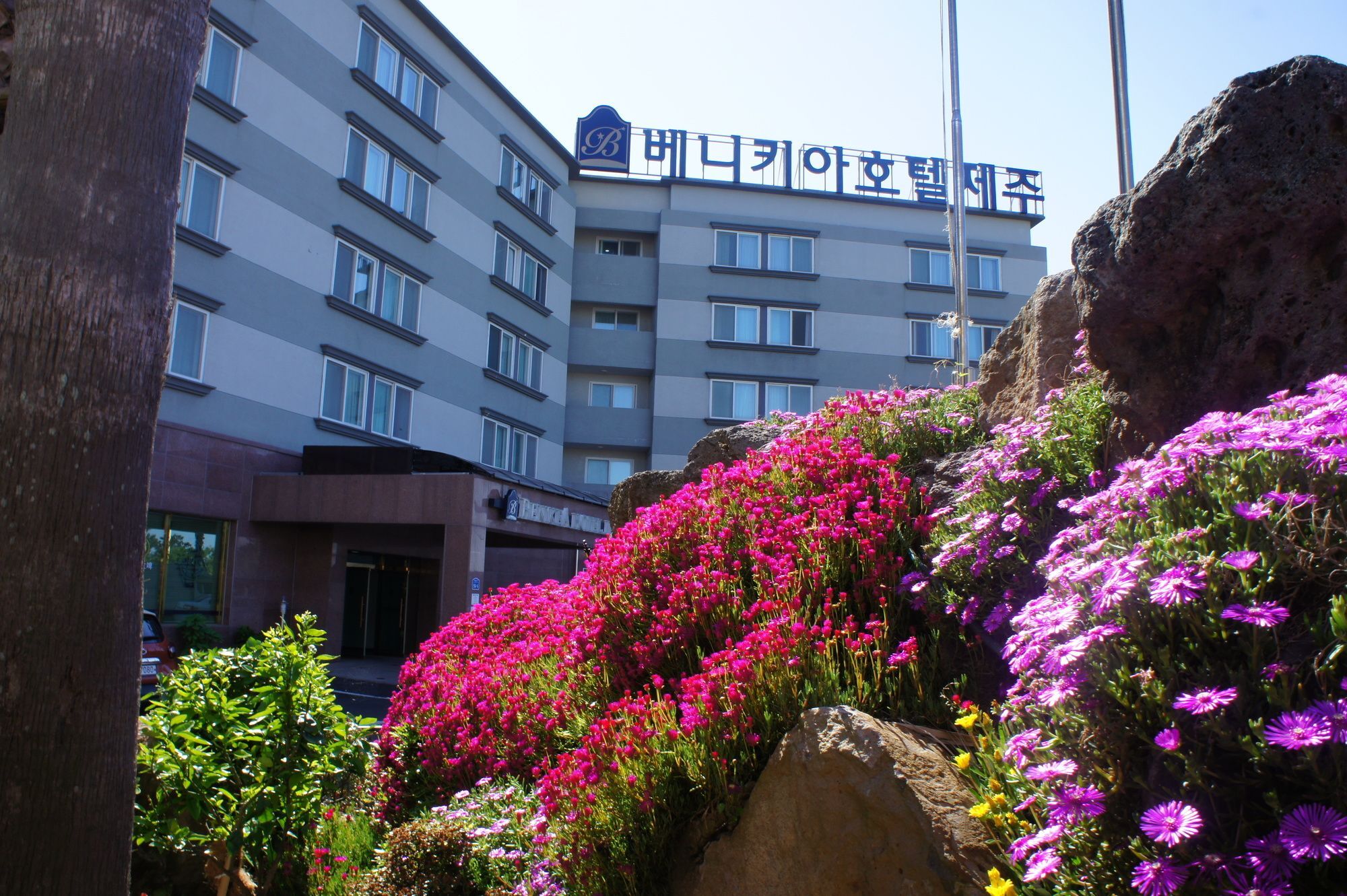 Benikea Hotel Jeju Bagian luar foto